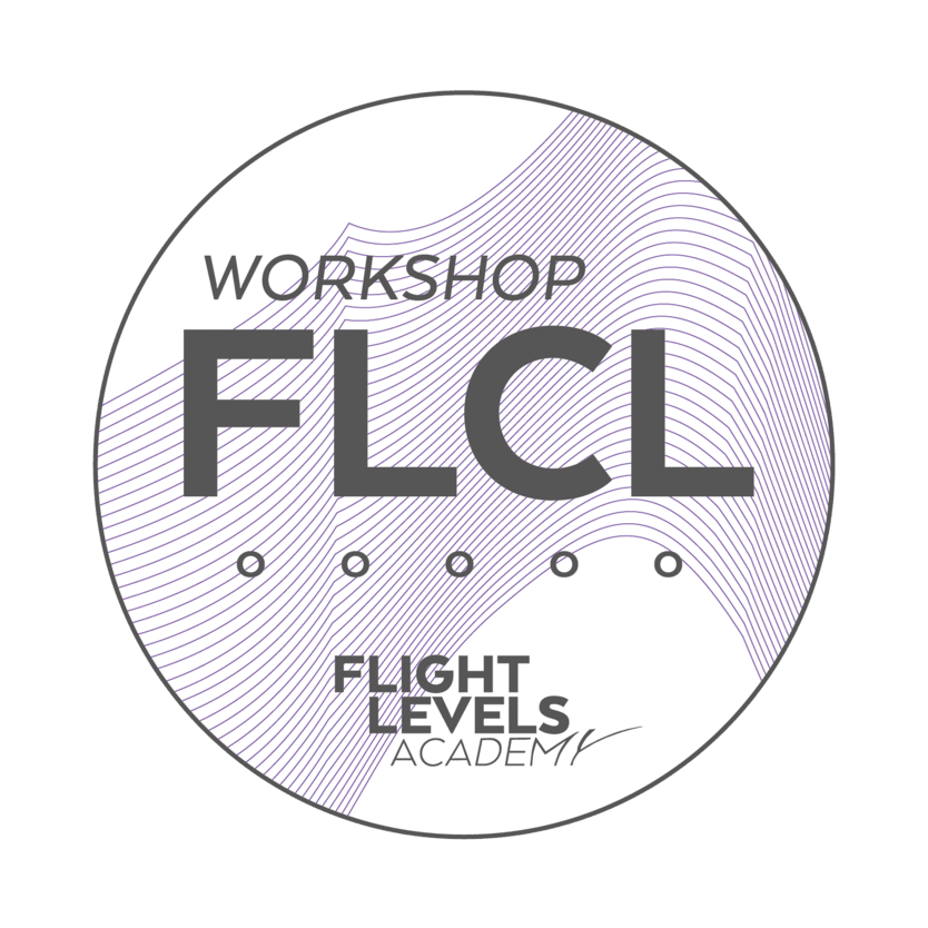 Sticker: Flight Levels Change Leadership Workshop